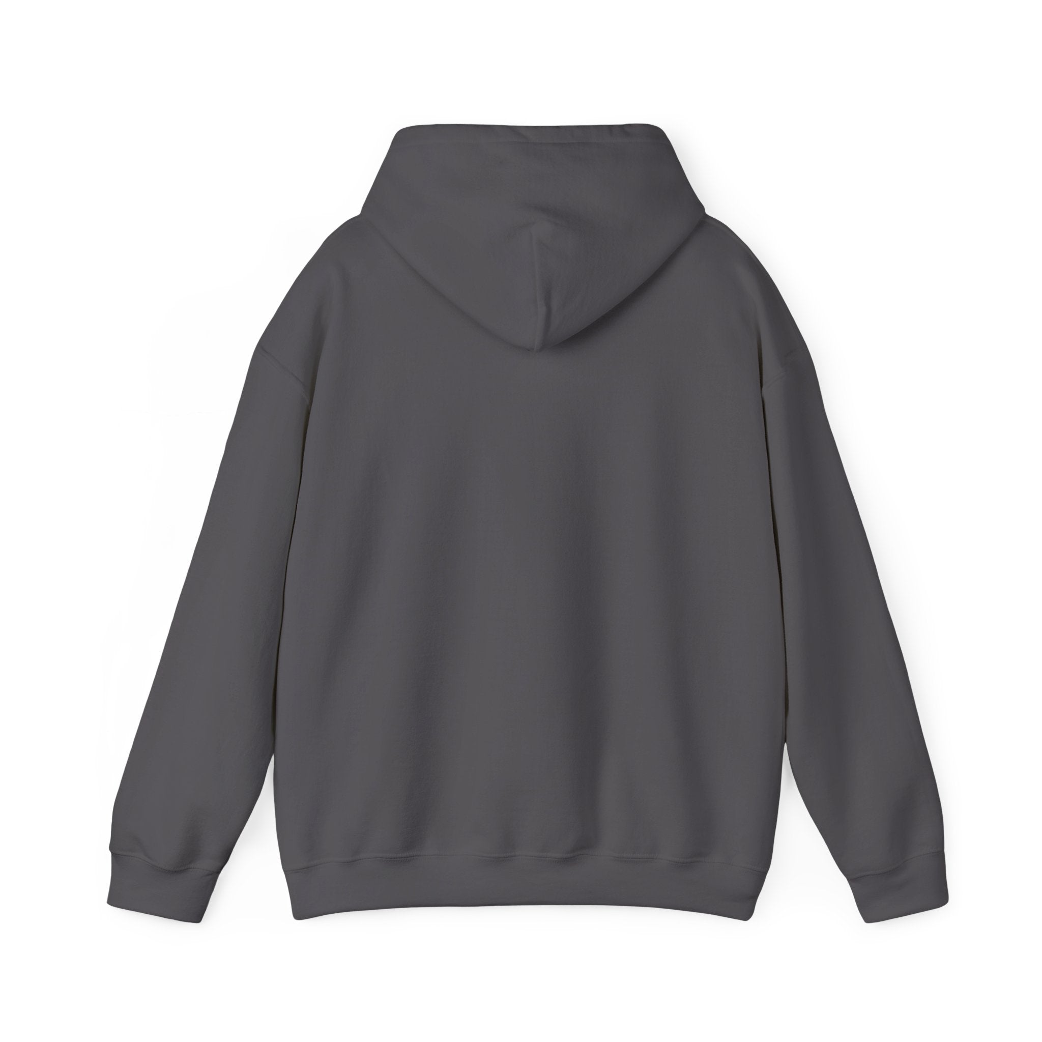 Little Boo Hoodie | Halloween Family Shirts, Matching Ghost Name Design